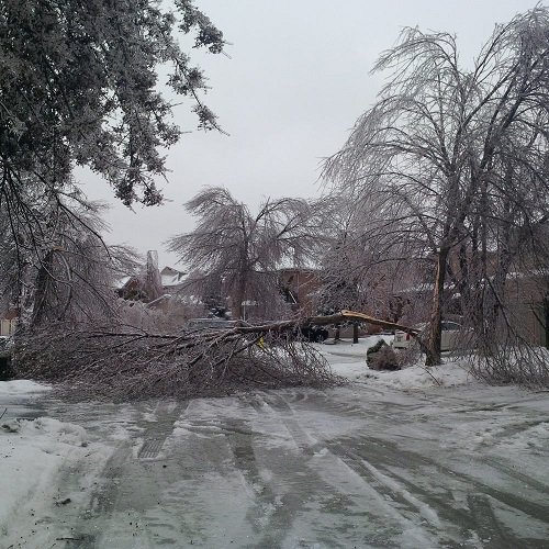 Toronto Ice Storm 2013 Toronto Ice Storm 2013